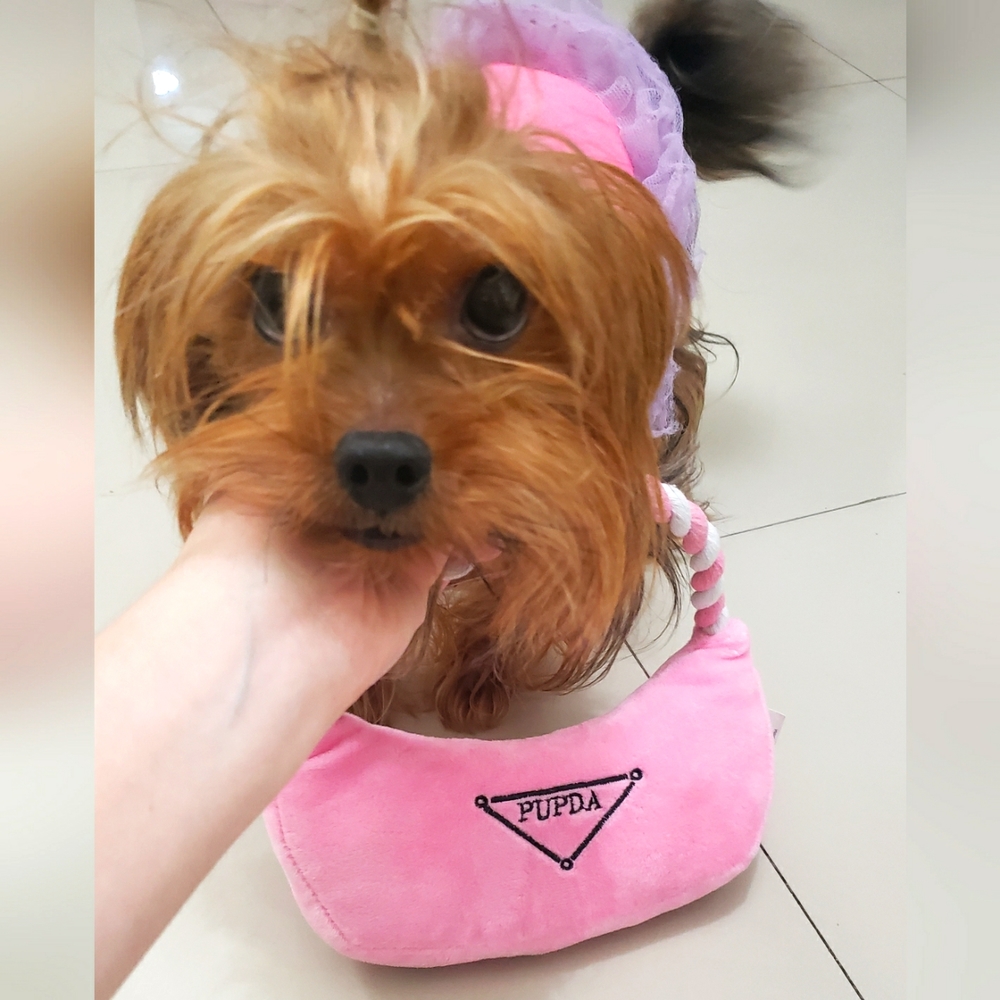 🌟LUXURY BAGS 2 Bags x $20 🐶🌟 - Picture 3 of 9